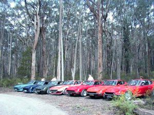 Kinglake National Park