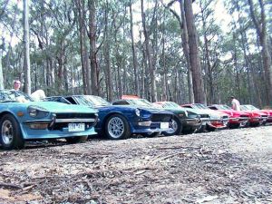 Kinglake National Park