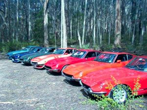 Kinglake National Park