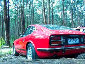 Kinglake National Park