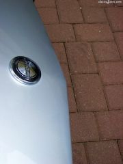 Two paint repairs balanced on either side of the emblem