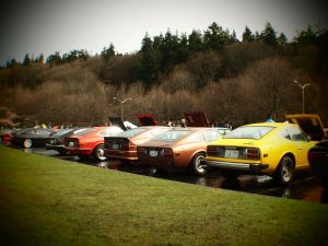 Golden Gardens