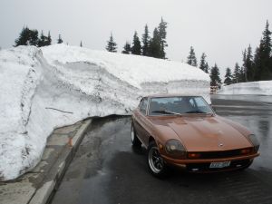 2010 Hurricane Ridge WA