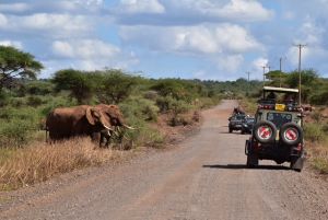 East African Safari Classic