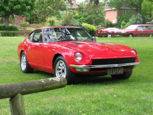 Gav240z Under Tree