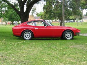 Gav240z Under Tree