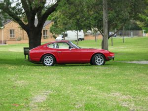 Gav240z Under Tree