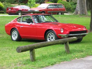 Gav240z Under Tree