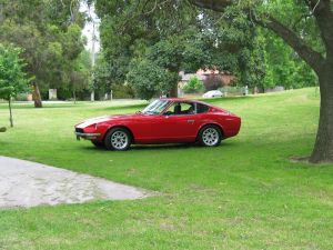 Gav240z Under Tree