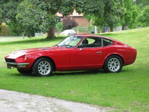 Gav240z Under Tree