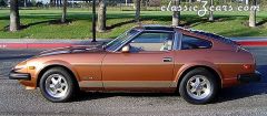 1981 zx