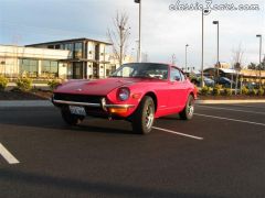 Toni's red z