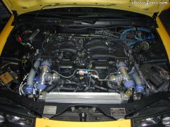 DSCN0492