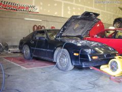 DSCN0228