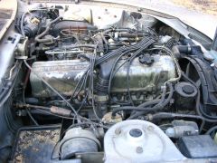 81 280zx Rat Droppings??