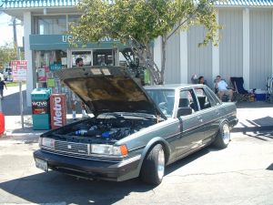Cressida J-town