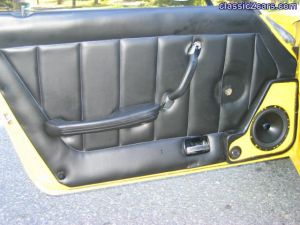 Door Panel