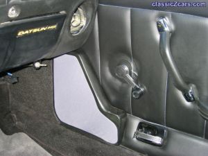 Door Panel with Speaker Cover