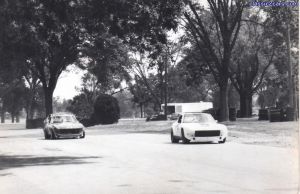 Z's race through a park