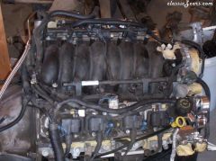 LS1