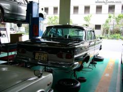 Prince_6_Rear
