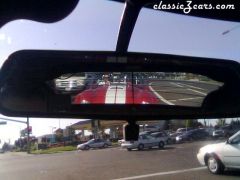 Cobra in rear view mirror