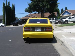Yellow Back
