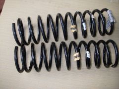 55020-E4102 rear springs