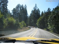 Datsun's NW Mary's Peak Run