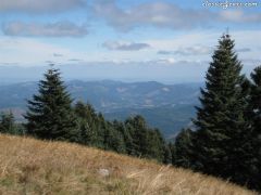 Datsun's NW Mary's Peak Run