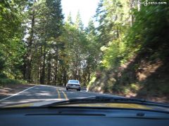 Datsun\'s NW Mary\'s Peak Run