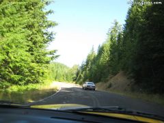 Datsun\\\'s NW Mary\\\'s Peak Run