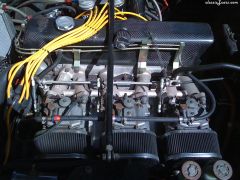 3.1 stroker with triple Mikunis