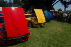 Datsun Driving Fun, Canby Oregon 2010