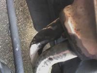 post-14244-14150800251633_thumb.jpg