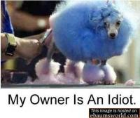 post-3864-14150794407963_thumb.jpg