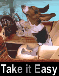 take-it-easy.gif.6dab9744bc7fcb3e950f002