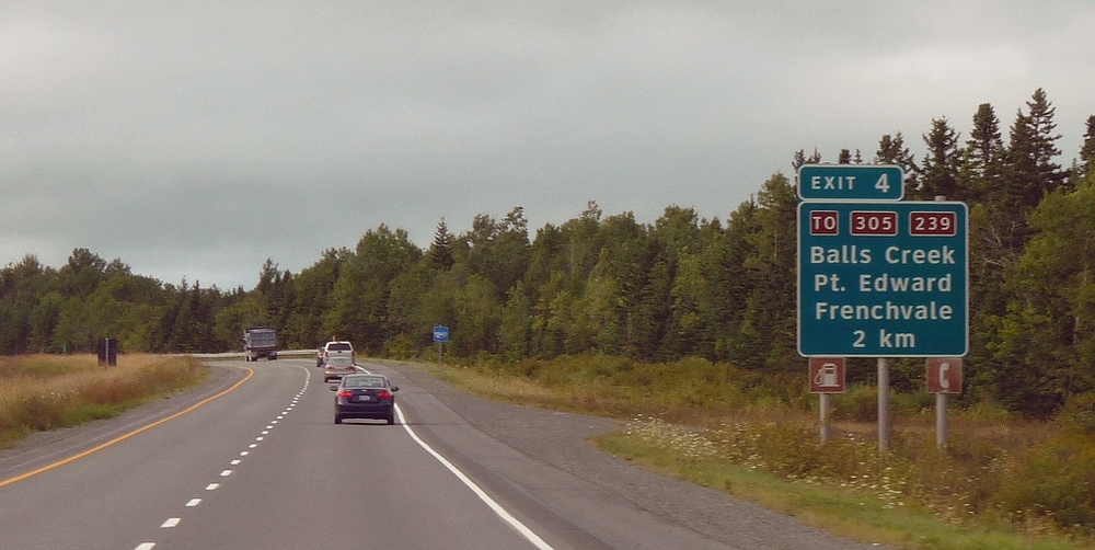 coxsackie2.jpg