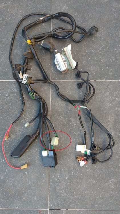 Harness-1.jpg
