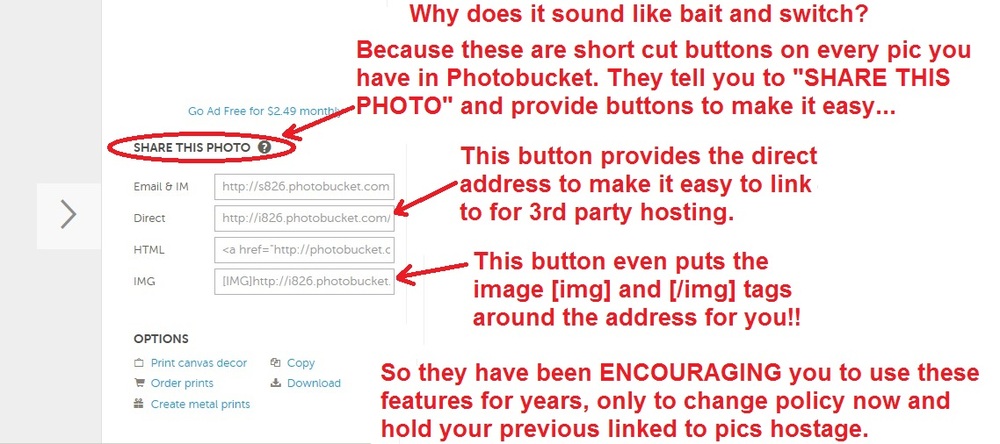 pb3.jpg