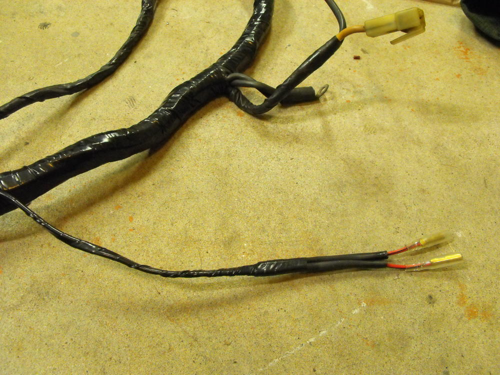 DSCF5409.JPG