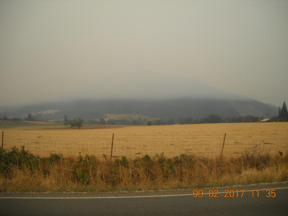 DSCN0436.JPG