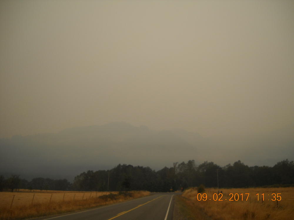 DSCN0437.JPG
