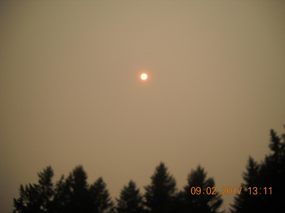 DSCN0439.JPG