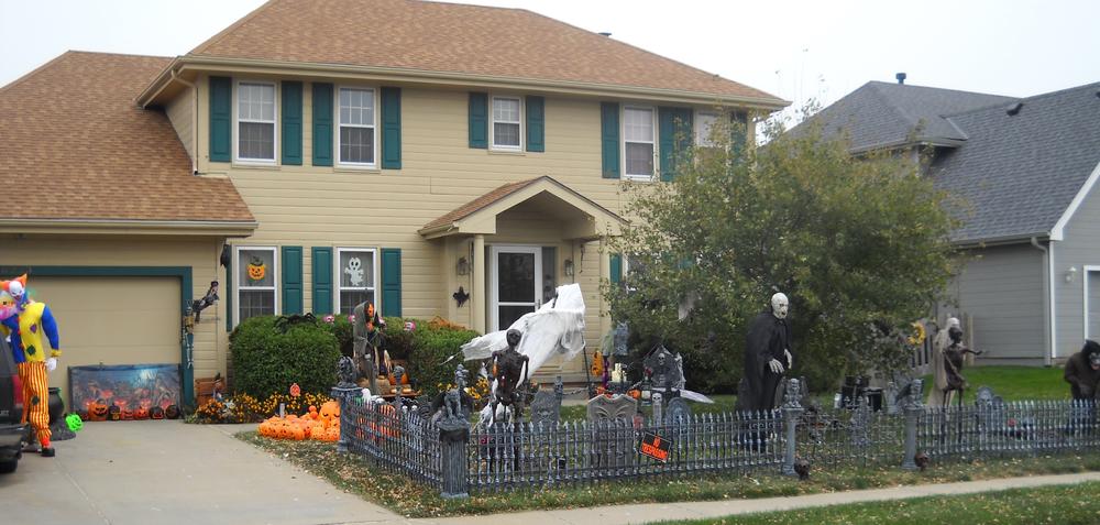 front yard 2.jpg