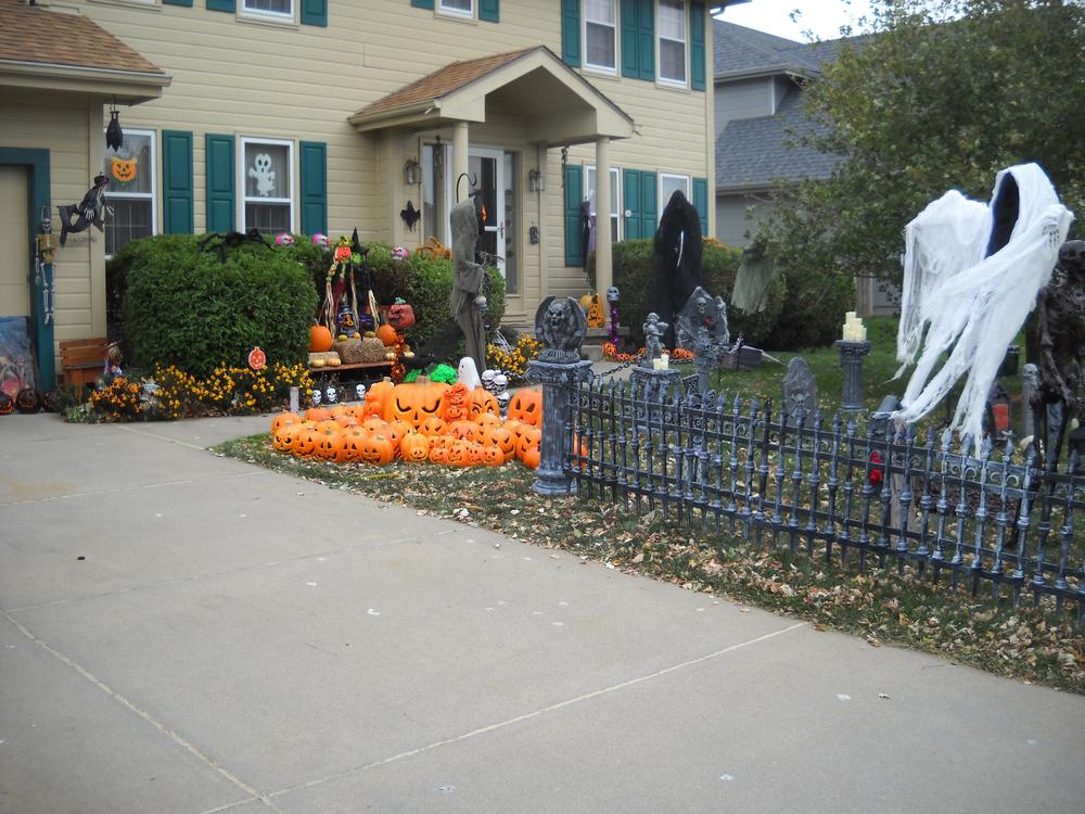 Side yard.jpg