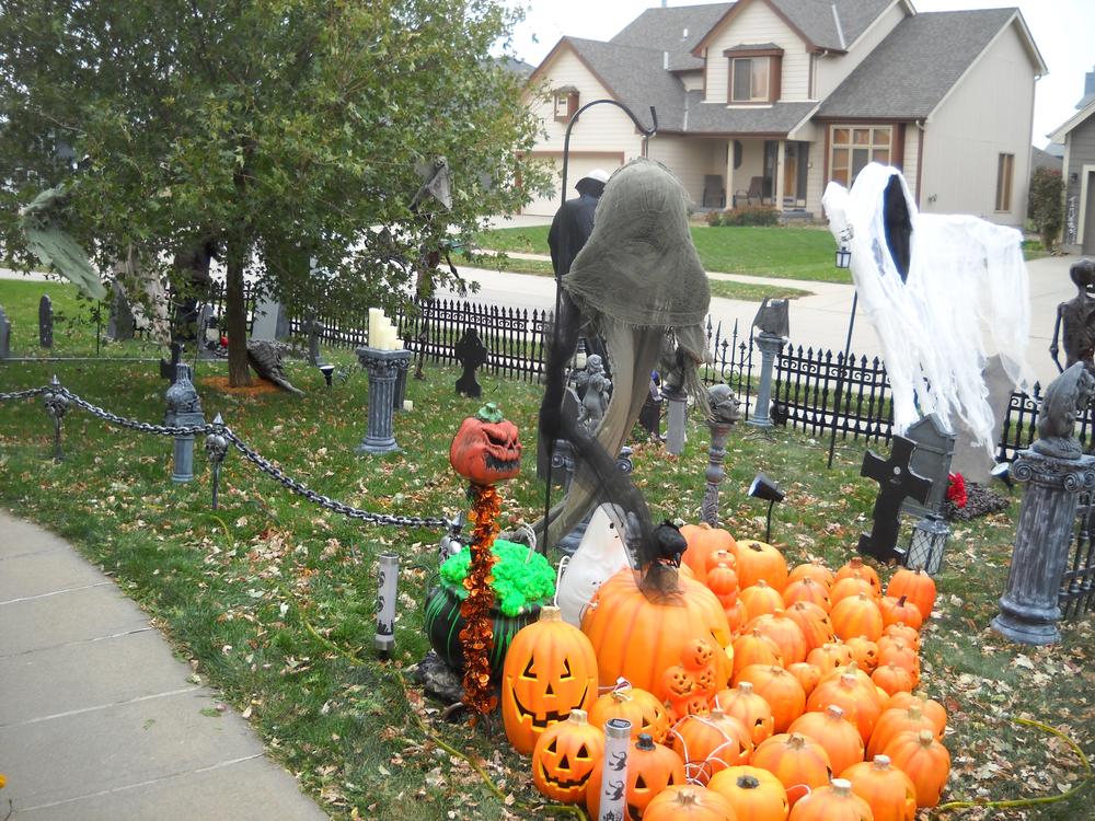 pumpkins.jpg