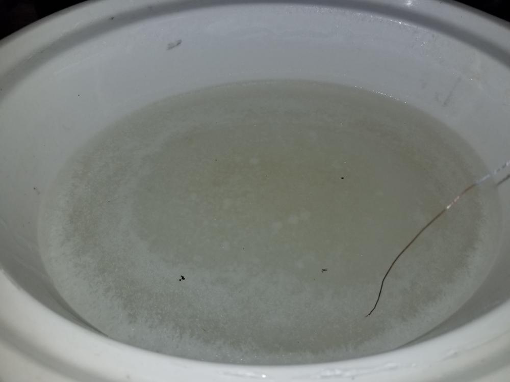 20180106_120320.jpg