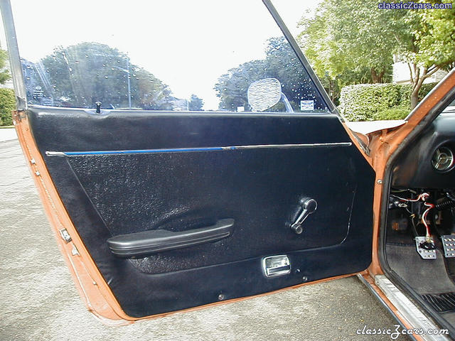 Driver's Door Panel