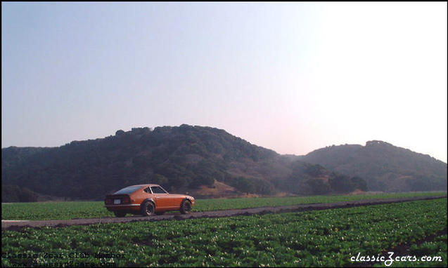 Fairlady in Salinas field